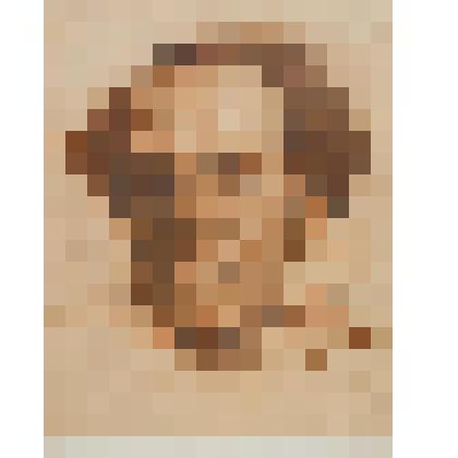 Портрет  В.В.Куйбышева