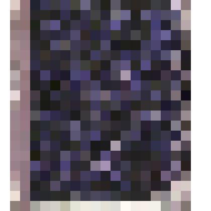 Книга чердынского купца Г.П.Гусева для записывания матросов на барже №41 Рычагову. 1888 - 1889 гг