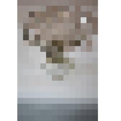 Ваза для фруктов