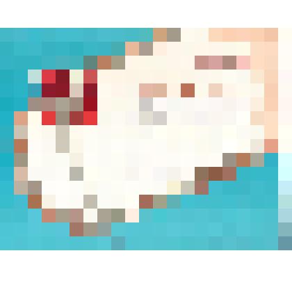 Документ. Грамота. Награждается коллектив Райсельэнерго за I место по массовости во Всесоюзном дне лыжника