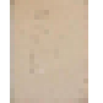 Портрет Татьяны Жибиновой, сестры художника