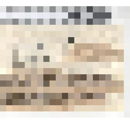 Документ. Поздравительная телеграмма, адресованная Камышину А.В