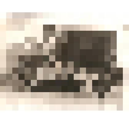 Фотография. На занятии по физической подготовке в сш № 1 г. Аркадака. Изображение группы юношей во главе с преподавателем Н.В. Гавриловым. На фоне спортивного зала и спортивных снарядов