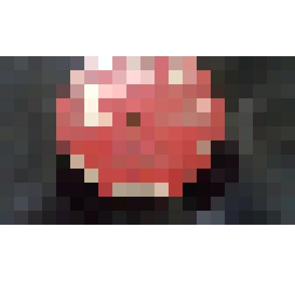 Грампластинка. Поет Лидия Русланова