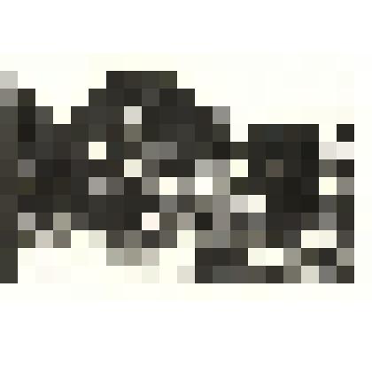 «Вербы около Новосильвайского моста».1923. Серия иллюстраций к книге «Пейзажи Павловска в деревянных гравюрах».1923