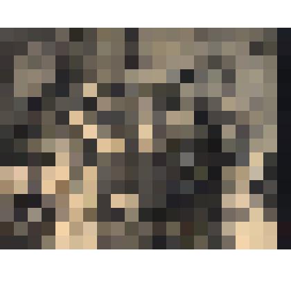 Фото. Пионеры Темясовского детского дома с воспитателями