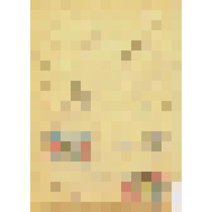 Наброски флагов и гербов Джунгахоры. Графика