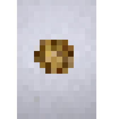 Монета достоинством 1 копейка, 1989 года выпуска