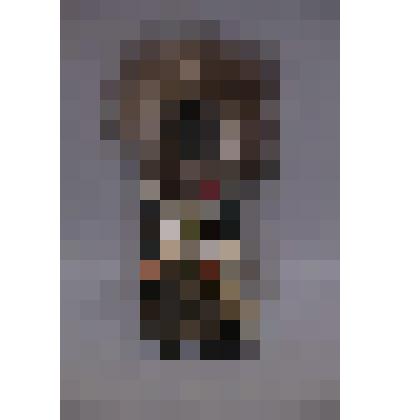 коллекция В.Ф. Лагодича. Фигурка "Дочь шамана" (хакасский эпос). Деревянная статуэтка человека, одетого в шаманскую одежду (серого и черного цвета). В руках держащего бубен с нанесённым изображением мира и колотушку. На груди красном кожаном шнуре подвеше