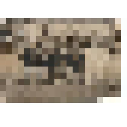 Ф/чб. Васильченко Я.С. в команде по канату на празднике физкультуры. Дом отдыха Министерства МВО. Судак, Крым. 1934