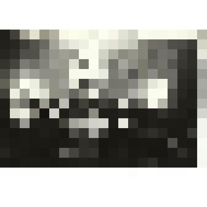 Фото. Торжественное собрание встреча ветеранов 379 стрелковой дивизии. Хвастушкин А.П