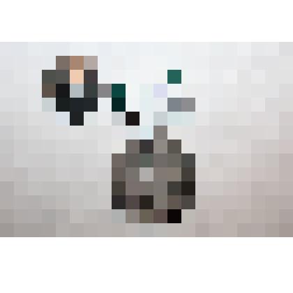 Малая серебряная медаль "Передовику социалистического сельского хозяйства". Принадлежала: Коленову П. А