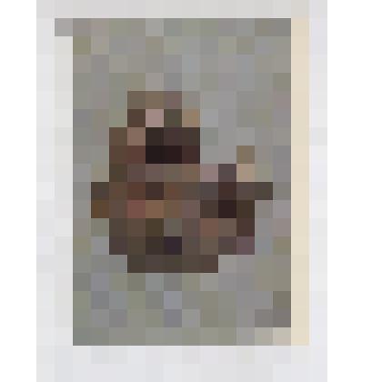 Открытка видовая. Из набора открыток «Нэцкэ в собрании Эрмитажа». Фукумоту Хомин. Вторая половина XIX века. Школа Эдо. Демон перед зеркалом. дерево. 4х4,7 см. Подпись: хомин