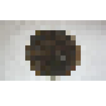 Монета номиналом 10 копеек 1930 г