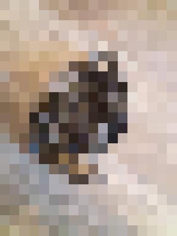 Лента пулеметная