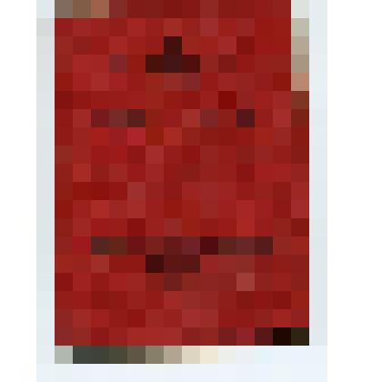 Военный билет Богомолова Василия Ивановича,  серия 388608