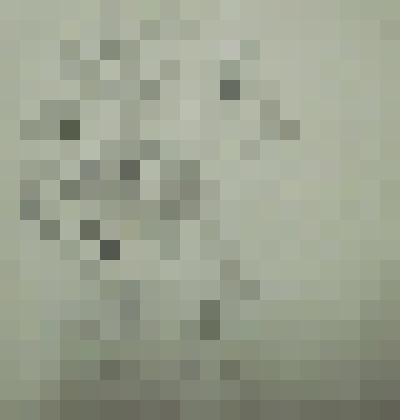 Фараон. Египетский придворный. Опахальщик, из альбома "Зарисовки из римской истории". Рисунок