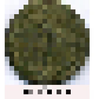 Монета. 5 копеек. Российская империя