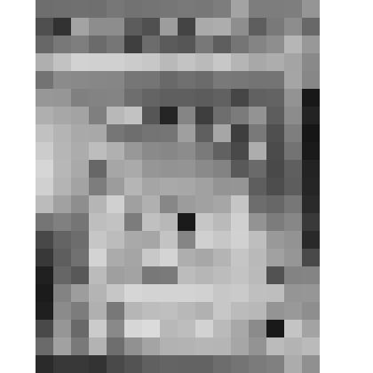 Большой дворец. Чесменский зал. Лепной рельеф над дверью. Отпечаток с негатива 1-й трети ХХ века