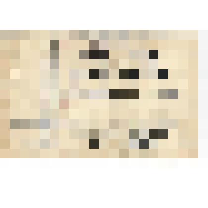 Документ. Образцы шрифтов крупнокегельных матриц. Из коллекции материалов по истории Кинешемской типографии им. В.И. Ленина (ХХ век)