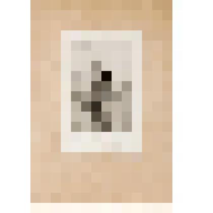 Портрет И.С. Тургенева (1818 - 1883). С портрета Н.Д. Дмитриева-Оренбургского (1879. ИРЛИ РАН). Портрет-заметка П. Виардо (1821 - 1910). С рисунка П.А. Каратыгина