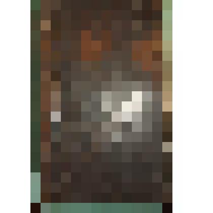 Книга. Минея служебная, месяц март. М.: Синодальная типография, 1741