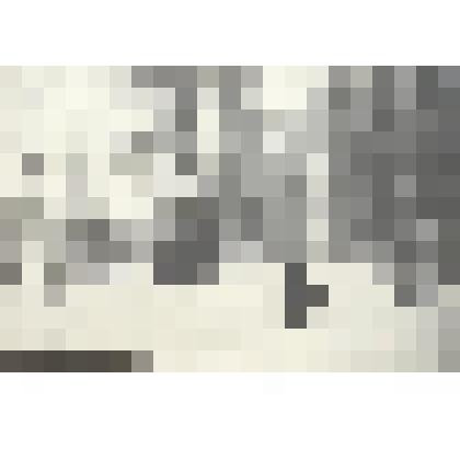 Л.Н.Толстой идет по «Прекшпекту»