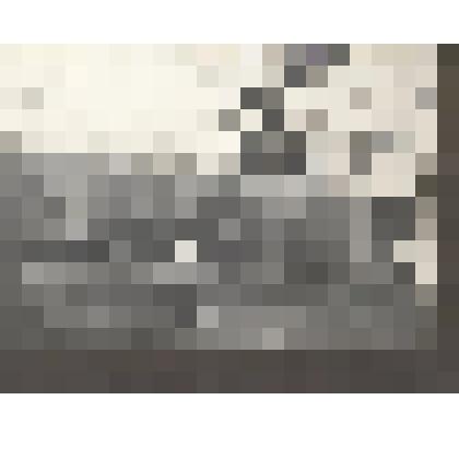 А.Л.Толстая во дворе дома в Ясной Поляне