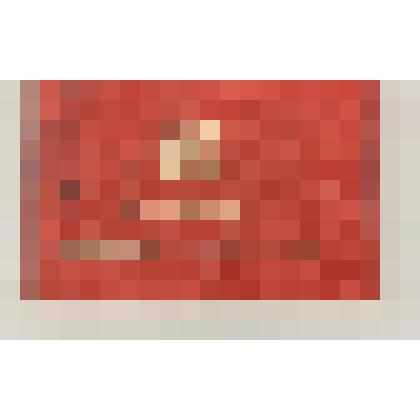 Удостоверение № 19 Папулова Николая Петровича внештатного инстпектора Областного комитета народного контроля Хакасской автономной области. Выдано 20 мая 1982 г