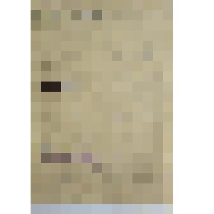 Анкета раскулаченного гражданина Шурыгина Андриана Ивановича