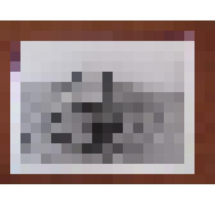 ФОТО. МЕХАНИЗИРОВАННОЕ РАЗОКУЧИВАНИЕ (ГОЛОВОК) КУСТОВ МАТОЧНИКА ПЛОДОВЫХ ПОДВОЕВ В СОВХОЗЕ "НИЖНЕГОРСКИЙ ПЛОДОПИТОМНИК"