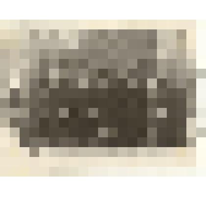 Фотография: курсы свиноводов в совхозе "Октябрь" Каменского района Алтайского края