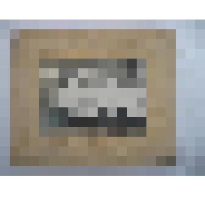 фотография. Ветлечебница