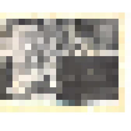 Фотография черно-белая. Портрет художника Н.В. Шабалина