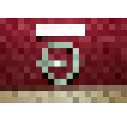 Фибула подковообразная