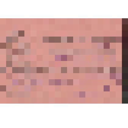 Мандат №146 Шабанова И. Я