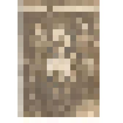 Фотография. Шандыбин Кузьма Егорович - солдат лейб-гвардии Литовского полка, с сослуживцами