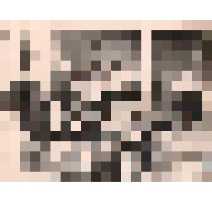 Фотография групповая. Встреча учащихся школы № 41 с А.А. Великановым