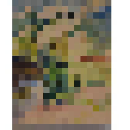 Подрезково