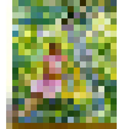 Лена в саду