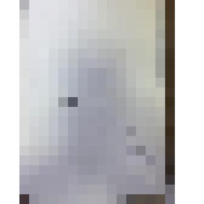 Книга. Колыванская шлифовальная фабрика на Алтае