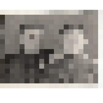 Ф/чб. Солдатов В.Т. (справа), мл/лейтенант, ком. взвода управления с сослуживцем - мл/сержантом (в наградах). Германия. 1946