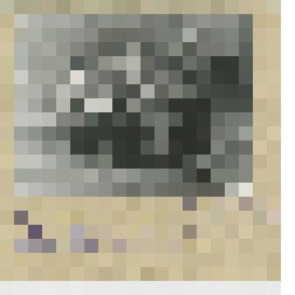 Фотография ч/б. Школьники Лебединовской школы г. Фрунзе Киргизской ССР в гостях у Крюковской школы №1