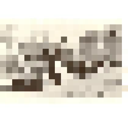 Фотография: демонстрация 1 мая 1961 года в г.Камне-на-Оби Алтайского края