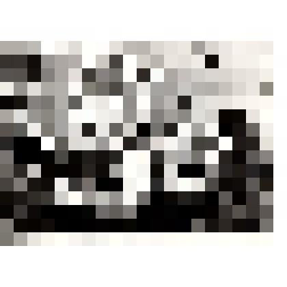 Фото ч/б "Один из цехов Шахунской фабрики"