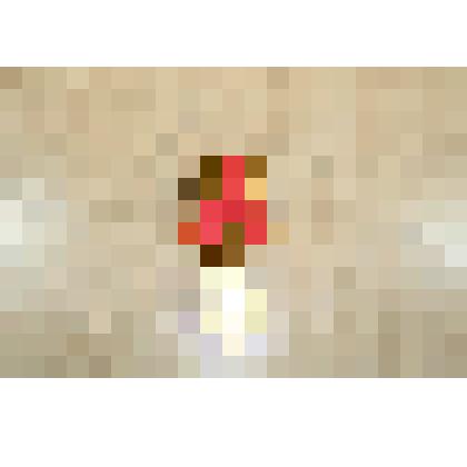 Медаль "60-лет Победы в Великой Отечественной войне 1941-1945 гг."