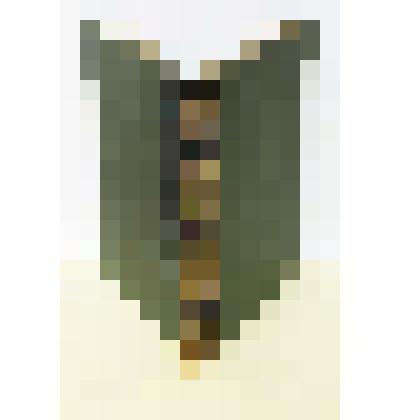 Энциклопедический словарь   Том 72
под редакцией К.К.Арсеньева и проф. Ф.Ф.Петрушевского