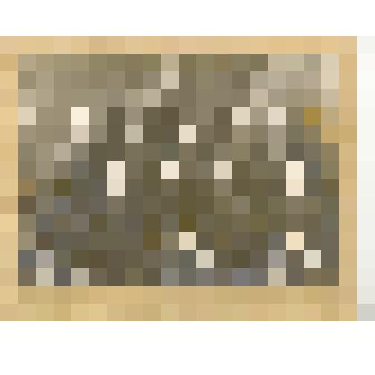 Фотография. Кустовое совещание старших бухгалтеров сист. Зап.-Сиб. м-прома Каменского куста