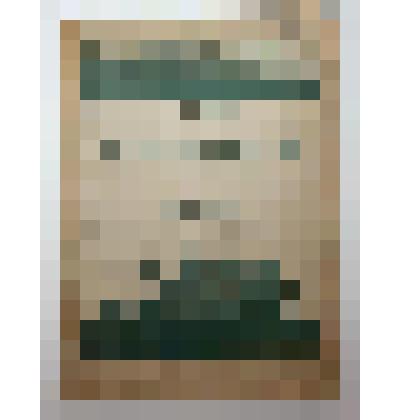 Книга. Частное лесоводство на дому. Типо-литография им. тов. Воровского