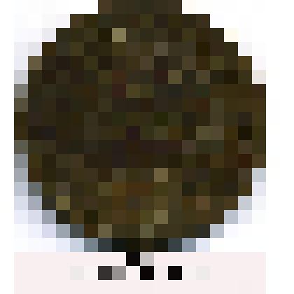 Монета. 3 копейки